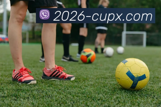 2026世界杯平台生态图